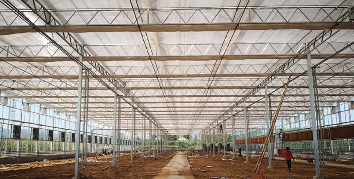 信橋鋼構(gòu)：打卡蒙陰農(nóng)業(yè)溫室大棚、青州黑牛養(yǎng)殖基地！(圖3)